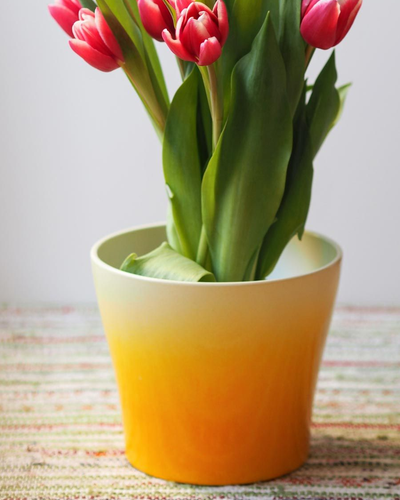 Tulip Pot